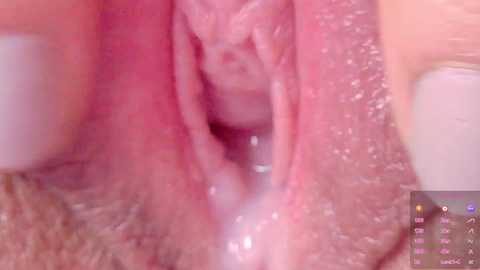 horny_moly @ chaturbate on 20250706