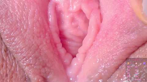 horny_moly @ chaturbate on 20250706