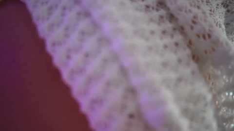 jadeperez_ @ chaturbate on 20250706