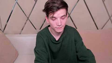 willsinn_