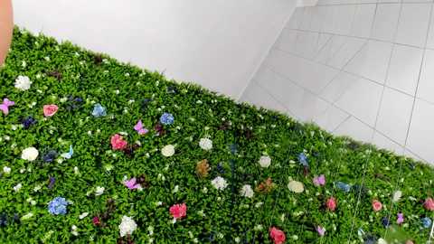 babyaylin @ chaturbate on 20250707