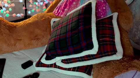 imjoanna @ chaturbate on 20250707