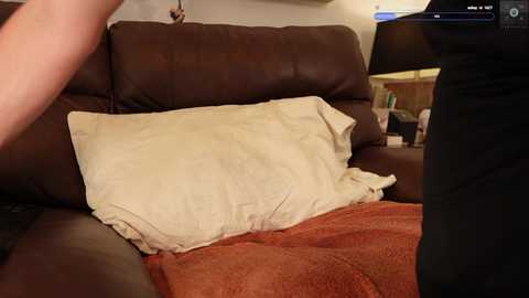 rndmzd @ chaturbate on 20250707