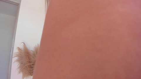 wandathompson_ @ chaturbate on 20250707