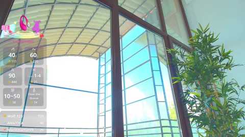 _parishill @ chaturbate on 20250708