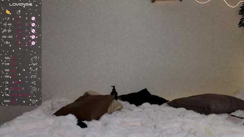 serenahall_ @ chaturbate on 20250708