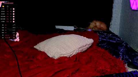 demmi_foxy @ chaturbate on 20250710