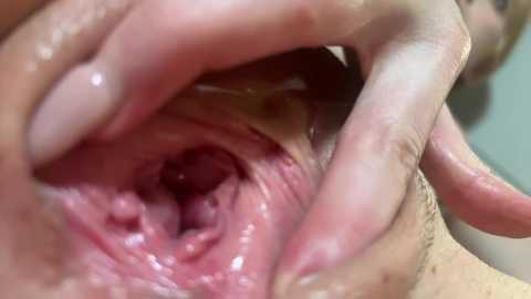 faseremx @ chaturbate on 20250710