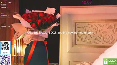 lissa_meooow @ chaturbate on 20250710