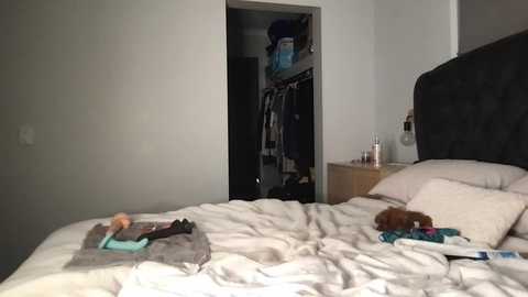 naomirhoades @ chaturbate on 20250710