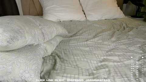 _jasminestea_ @ chaturbate on 20250711