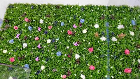 babyaylin @ chaturbate on 20250711