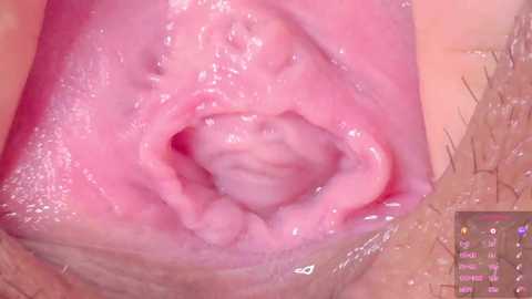 horny_moly @ chaturbate on 20250711