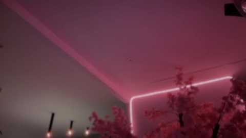 katy_monrroy @ chaturbate on 20250711