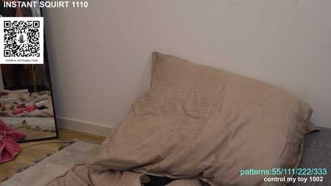 _happymeal @ chaturbate on 20250713