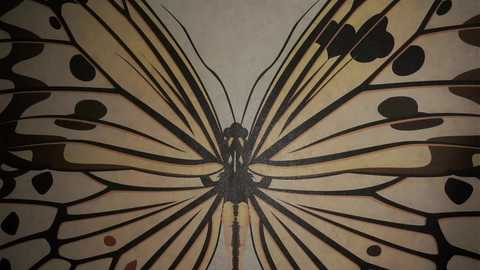 zeldaes @ chaturbate on 20250713