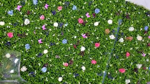 babyaylin @ chaturbate on 20250714