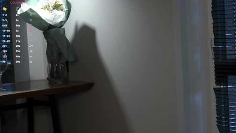 pebee @ chaturbate on 20250714