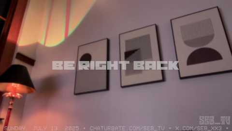 seb_tv