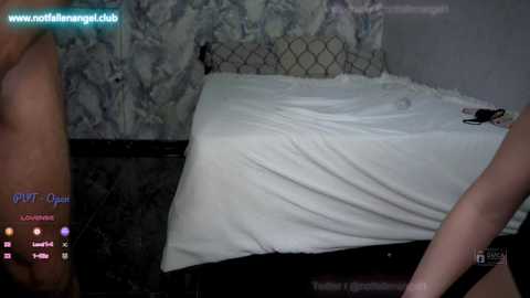 notfallenangel @ chaturbate on 20250715