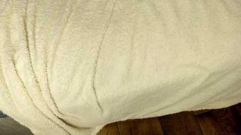 rachel_rey @ chaturbate on 20250715