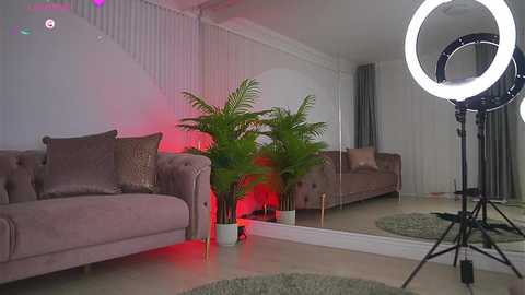 abbela_white @ chaturbate on 20250716