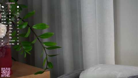 orasaro @ chaturbate on 20250716