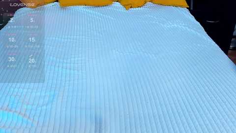 just_sayori @ chaturbate on 20250717