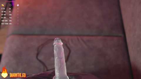 _taylor_swift @ chaturbate on 20250718