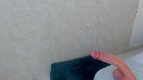 arya_nahalii @ chaturbate on 20250718