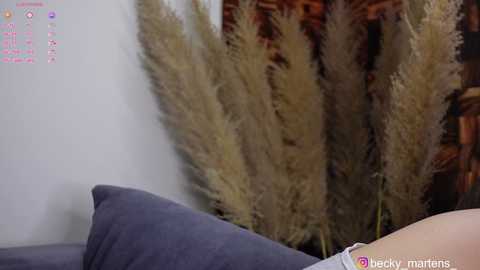 beckymartens @ chaturbate on 20250719