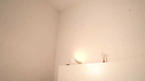 nya_ri @ chaturbate on 20250719