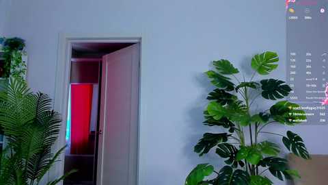 sweet__piece @ chaturbate on 20250719