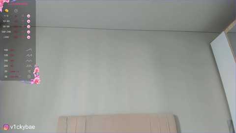 sweety_vikky @ chaturbate on 20250719