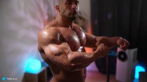 flex_x_x
