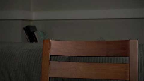 zeldaes @ chaturbate on 20250720