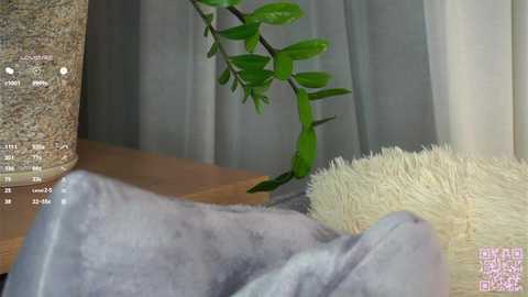 orasaro @ chaturbate on 20250721