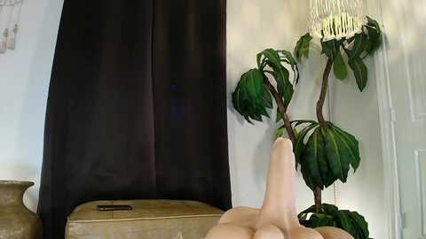 tatums_fantasyland