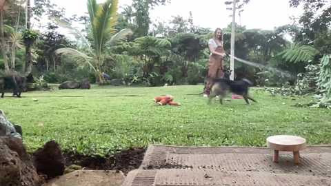 kaileeshy @ chaturbate on 20250722