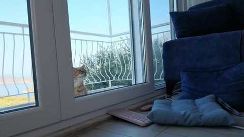 polynessia @ chaturbate on 20250722