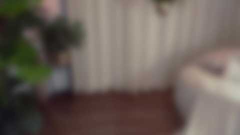 sensualcherry_ @ chaturbate on 20250722