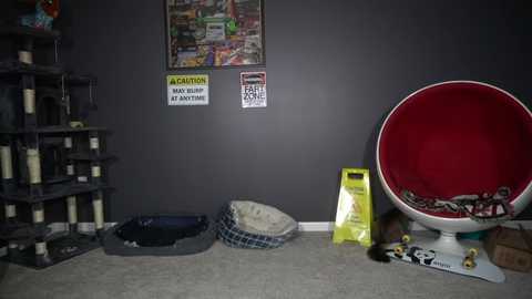 sydaffect @ chaturbate on 20250722