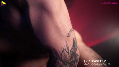 dominic_sullivan1 @ chaturbate on 20250723