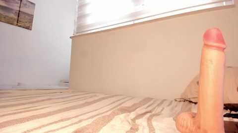 itsbellax @ chaturbate on 20250723