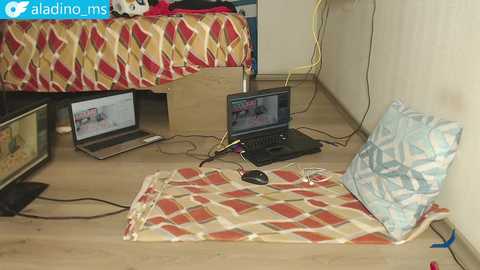 aladino_ms @ chaturbate on 20250725