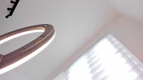 itsbellax @ chaturbate on 20250725