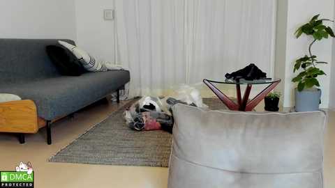 maybenanako @ chaturbate on 20250726