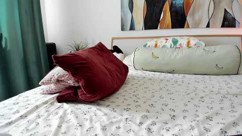 mis_eva @ chaturbate on 20250727