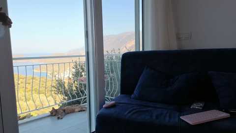 polynessia @ chaturbate on 20250727