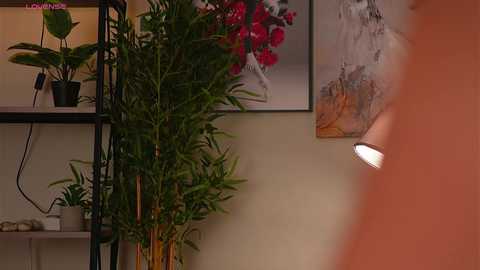 blissdilley @ chaturbate on 20250729